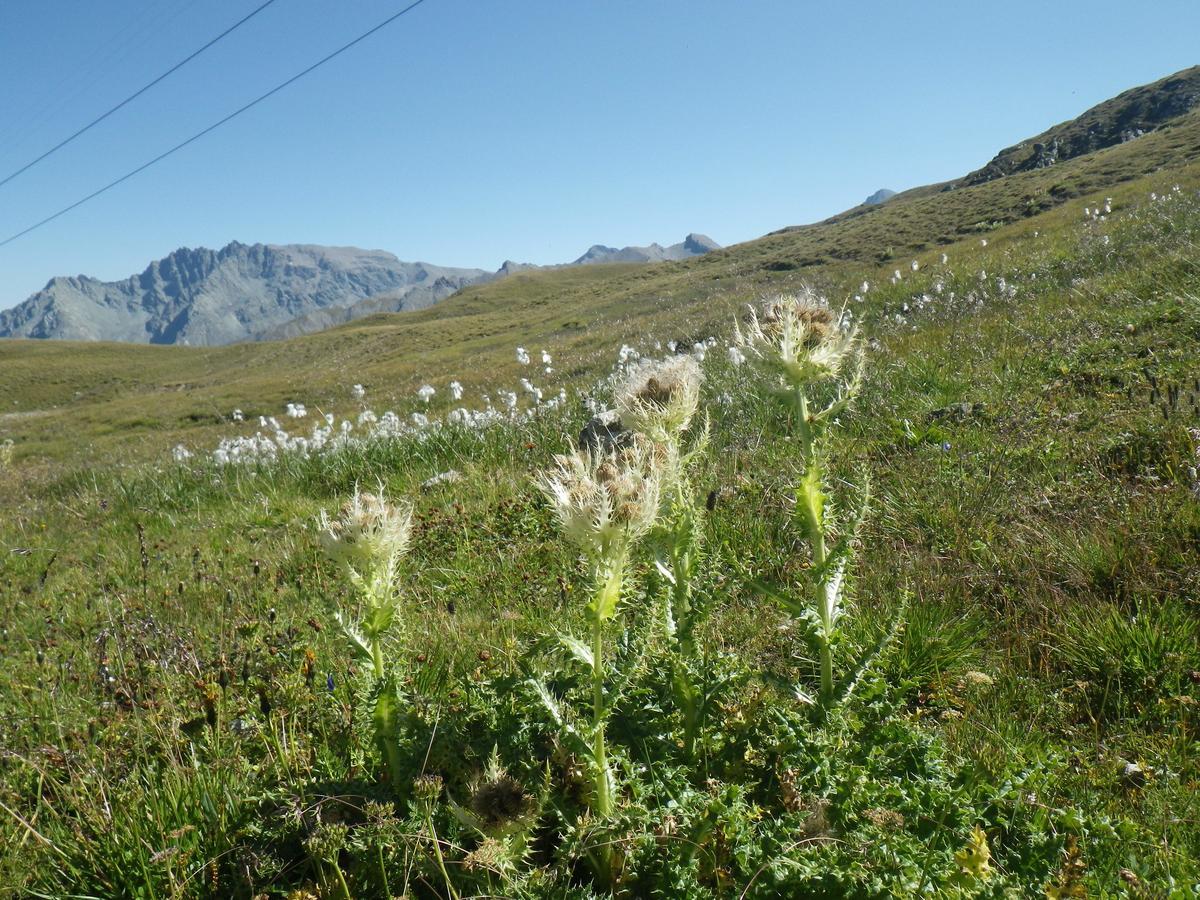 Apart-Garni Motnaida Samnaun Exteriér fotografie