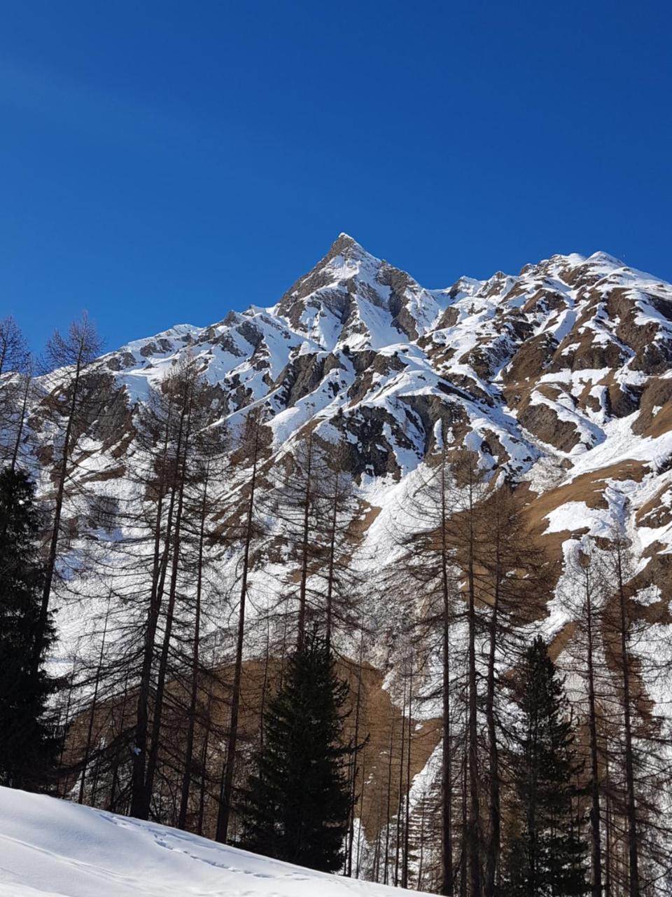 Apart-Garni Motnaida Samnaun Exteriér fotografie
